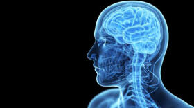 Transferencia de memoria