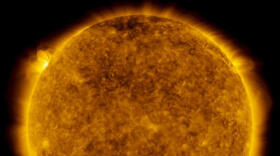 «¿Está el Sol despertando de su letargo?»