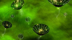 «Agujeros negros primordiales: ventanas a otros universos»