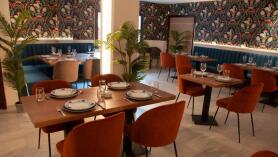 Viejo Tito Montañas