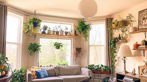 Un huerto en casa: cómo tener un jardín comestible y qué plantas evitar porque son tóxicas