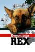 Rex, un policía diferente - ¿Por qué murió Romeo?