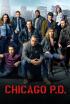 Chicago P.D. - Los casos que hay que resolver