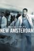 New Amsterdam - New Amsterdam