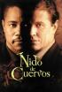 Nido de cuervos