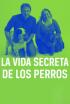 La vida secreta de los perros