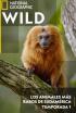 Los animales más raros de Sudamérica