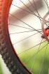 Europeo de ciclismo en carretera