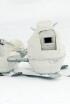 Polar Bears: Spy on the Ice