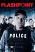 Flashpoint - Familia perfecta