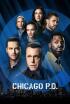 Chicago P.D. - Sin rumbo