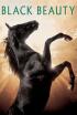 Un caballo llamado Furia