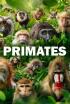 Primates