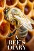 Diario de una abeja