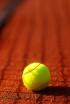 WTA: VIc