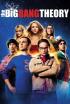 Big Bang Theory - La turbulencia de la amistad