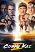 Cobra Kai - Zurrar ayuda a ligar