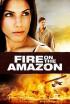 Fuego en el Amazonas