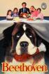 Beethoven, uno más en la familia