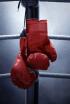 Boxeo: velada Joshua vs Molina