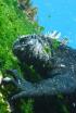 Les Galápagos: la frontera del món
