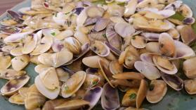 Casa Paco en Puerto Deportivo de Chipiona