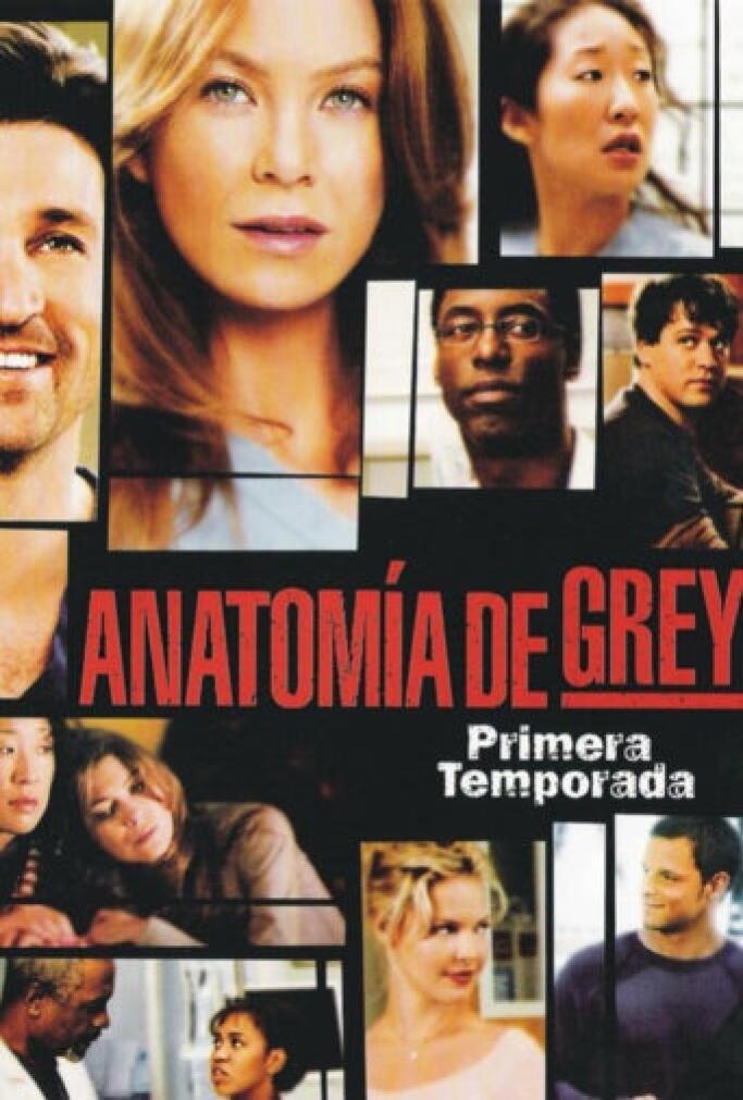 Anatomia De Grey Temporada 18 Capitulo 16