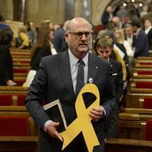 Resultat d'imatges de lazos descoloridos