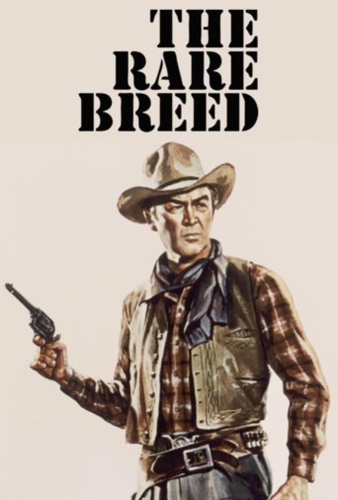 dama entre (1966) Película - PLAY Cine