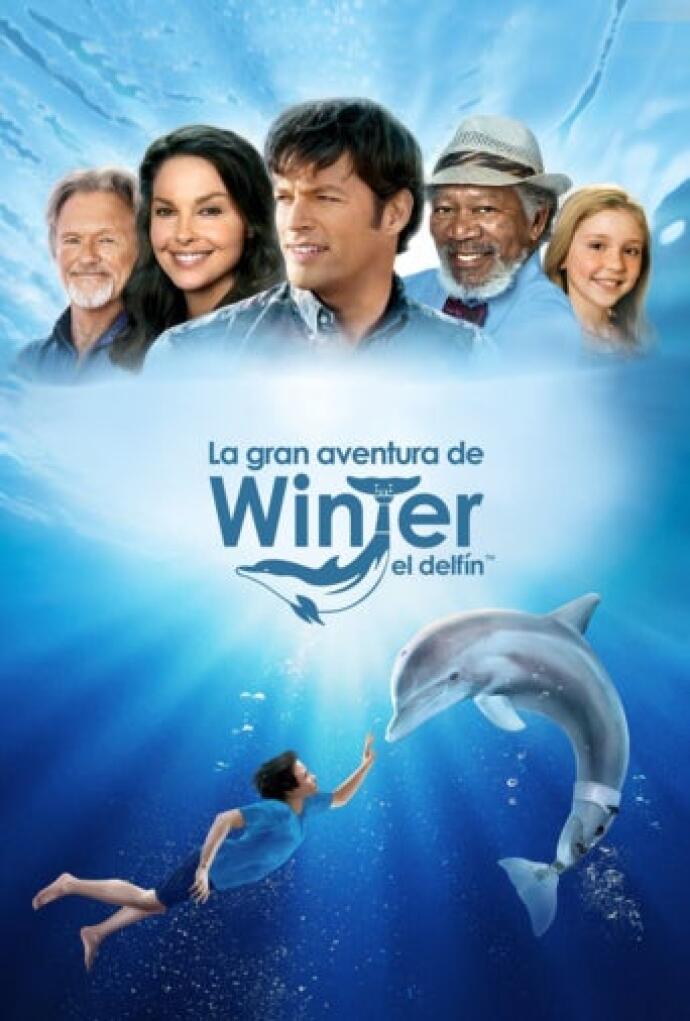 La Gran Aventura De Winter El Delfin 2011 Pelicula Play Cine