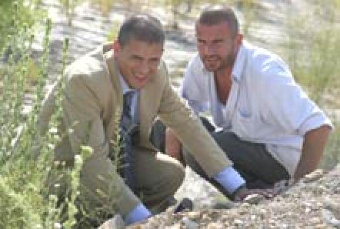 Prison Break Temporada 2 Capitulo 17